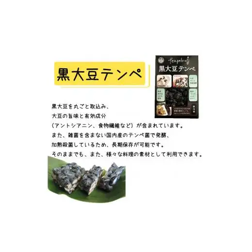 テンペセット（2種10個入り）