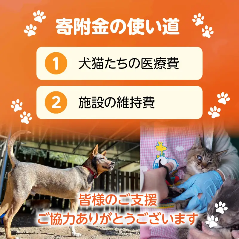 保健所犬猫レスキュー【返礼品なしのご寄附】犬 猫 保護 レスキュー 動物愛護 返礼品なし ペット 保護犬 保護猫 支援 応援 ボランティア_kn101-005