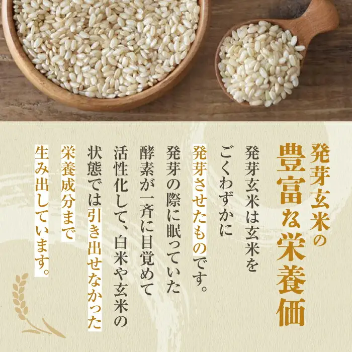 〈令和7年度産米〉 【金賞受賞米使用】くまもとの元気！発芽玄米 2kg×2袋【株式会社 れんげ・カンパニー】発芽玄米 有機栽培 真空パック 熊本 令和7年産 [ZAX003]