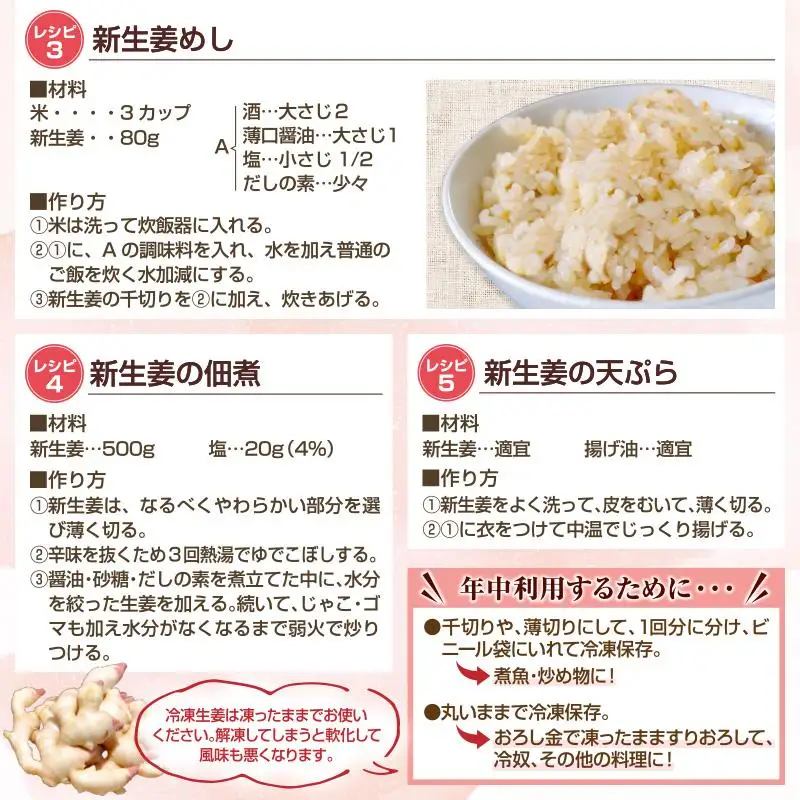 フレッシュ新しょうが４kg詰め 和歌山県産 新生姜 新鮮 産地直送 自家製 甘酢漬け、紅ショウガ、生姜湯、砂糖漬けに【クール冷蔵便】紀伊国屋文左衛門本舗