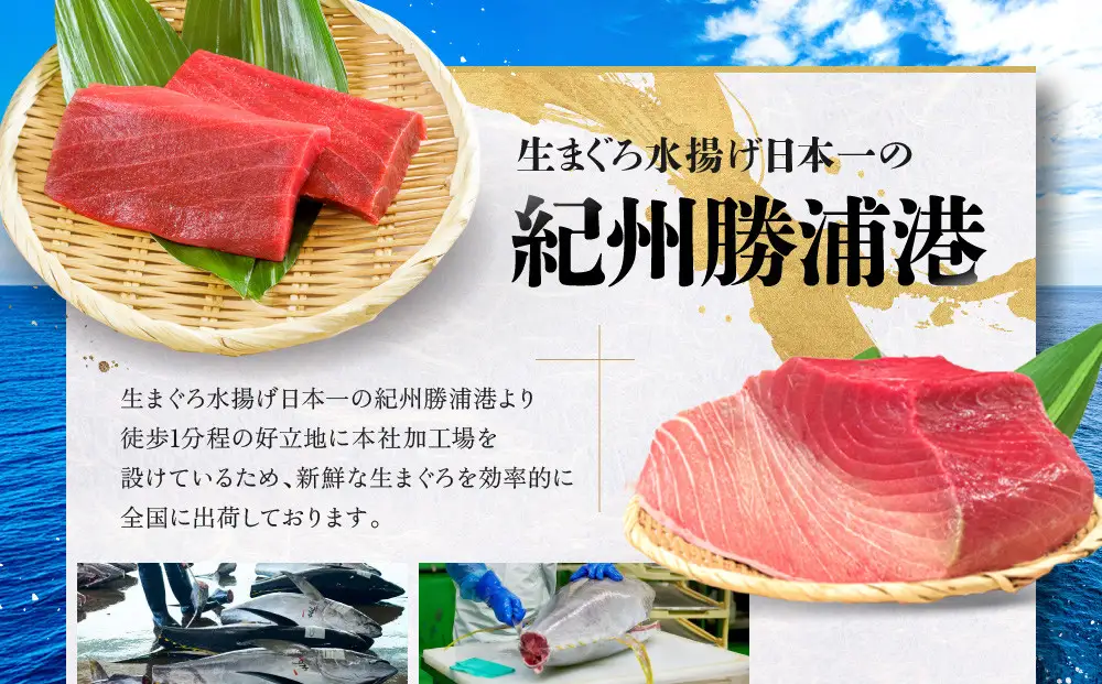 生本まぐろ 「鮨やすみつ」監修 550g 生本マグロ