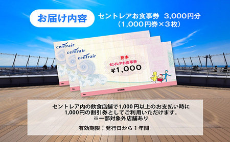 セントレアお食事券3,000円相当 中部国際空港 セントレア ランチ ディナー 空港 名古屋めし フードコート レストラン 飲食店 グルメ 飛行機を見ながら ボーイング787 お食事券 ご飲食券 食事 観光 家族 愛知県 常滑市