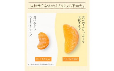 A203 ひとくち不知火 1kg×3袋 合計3kg みかん むかん 九州産 不知火 無添加 冷凍 福岡県 みやま市
