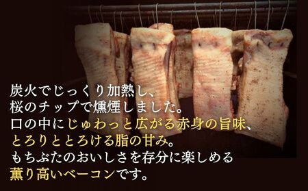和豚もちぶた バラ ベーコン ブロック 1kg もち豚 お肉 肉 豚肉 豚 おかず 惣菜 朝ごはん お弁当 バーベキュー BBQ 冷凍 新潟県 新潟 