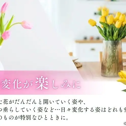 フラワーファームしろねのチューリップ切花30本おすすめアソート（3品種×各10本） チューリップ 花束 植物 フラワー 花  