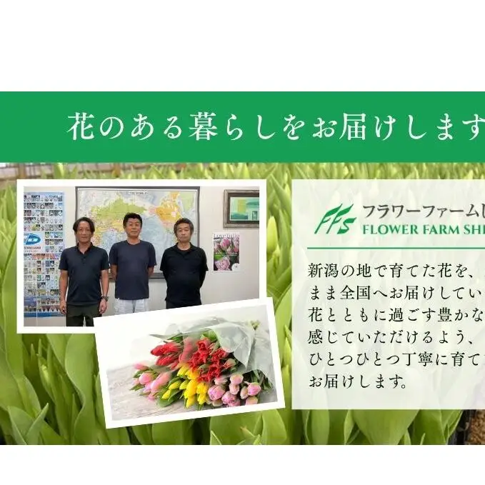 フラワーファームしろねのチューリップ切花50本おすすめアソート（5品種×各10本） 植物 花束 