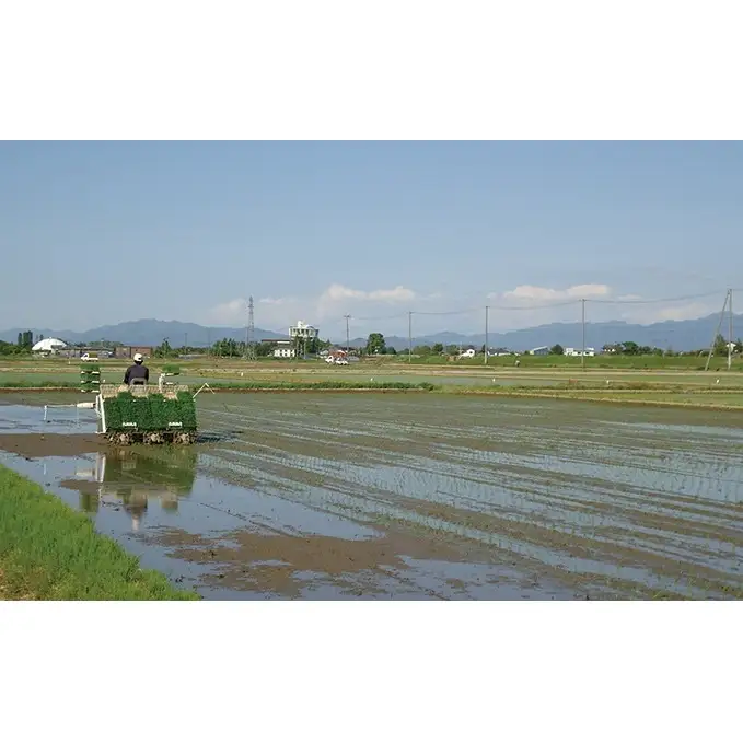 コシヒカリ 特別栽培米 10㎏ 新潟県産 こしひかり