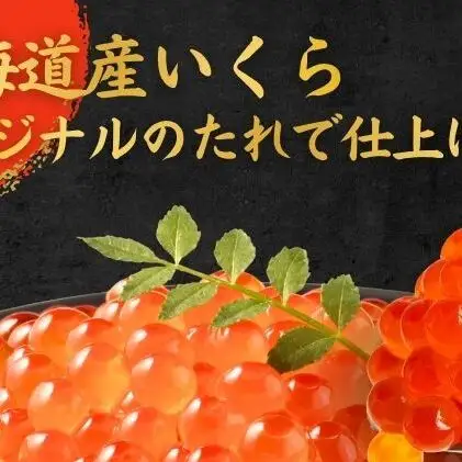 いくら醤油漬け400g（200g×2） いくら イクラ 醤油漬け いくら醤油漬け おつまみ 海鮮 海産物 魚介 魚介類 惣菜 おかず ごはんのお供 冷凍 新潟 