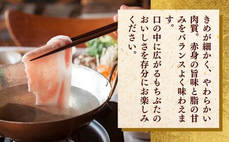 和豚もちぶた ロース しゃぶしゃぶ用 1kg （500g×2パック） セット 豚ロース もち豚 お肉 肉 豚肉 豚 しゃぶしゃぶ おかず 惣菜 朝ごはん お弁当 小分け 冷凍 新潟県 新潟 