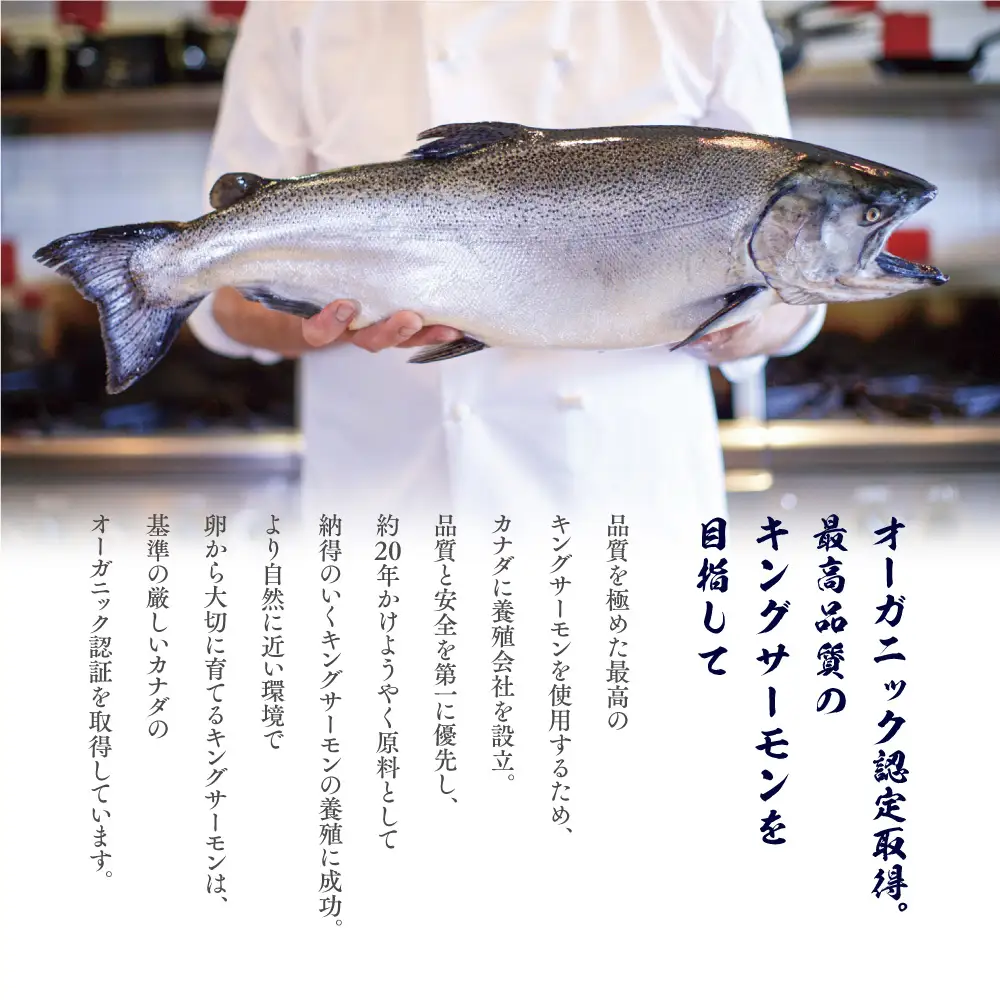鮭 加島屋 さけ茶漬 大ビン 4本 鮭 フレーク