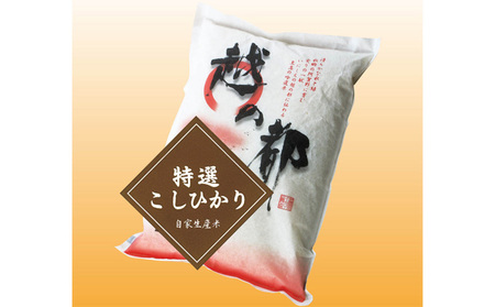 コシヒカリ 新潟県産 5㎏ 特選 越の都 米 コシヒカリ