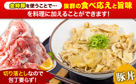 ＜阿波の金時豚＞ 切り落とし1.5kg 豚肉
