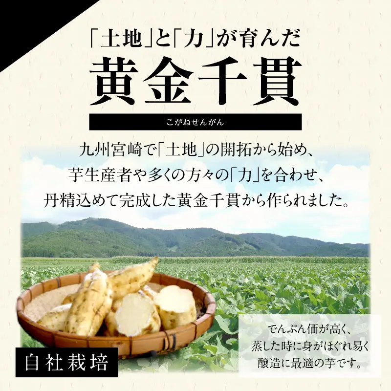 地力（じりき） お酒 酒 焼酎 芋 芋焼酎