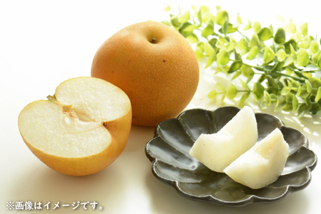 【産直もぎたて】里山のもぎたて梨 4kg程度（フルーツ 果物 旬 梨 国産 限定 期間限定）