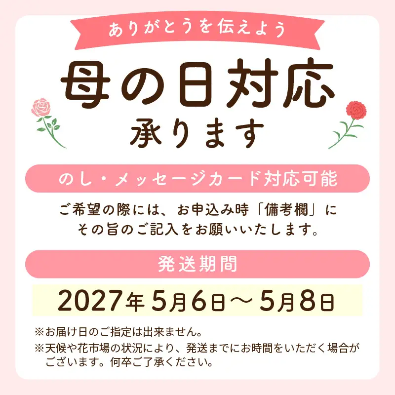 【先行予約】【母の日限定】母の日ギフト 届いてそのまま飾れるフラワー 生花 プレゼント 感謝メッセージカード越前和紙 小花付 【2027年5月発送】  [e51-a006]