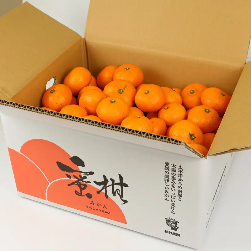 温州みかん南柑20号9kg家庭用植村農園温州みかん温州みかん温州みかん温州みかんB010-153004