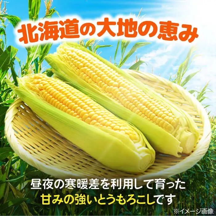 自然甘ホールコーン 24缶 [AJAG009] トウモロコシ 缶詰