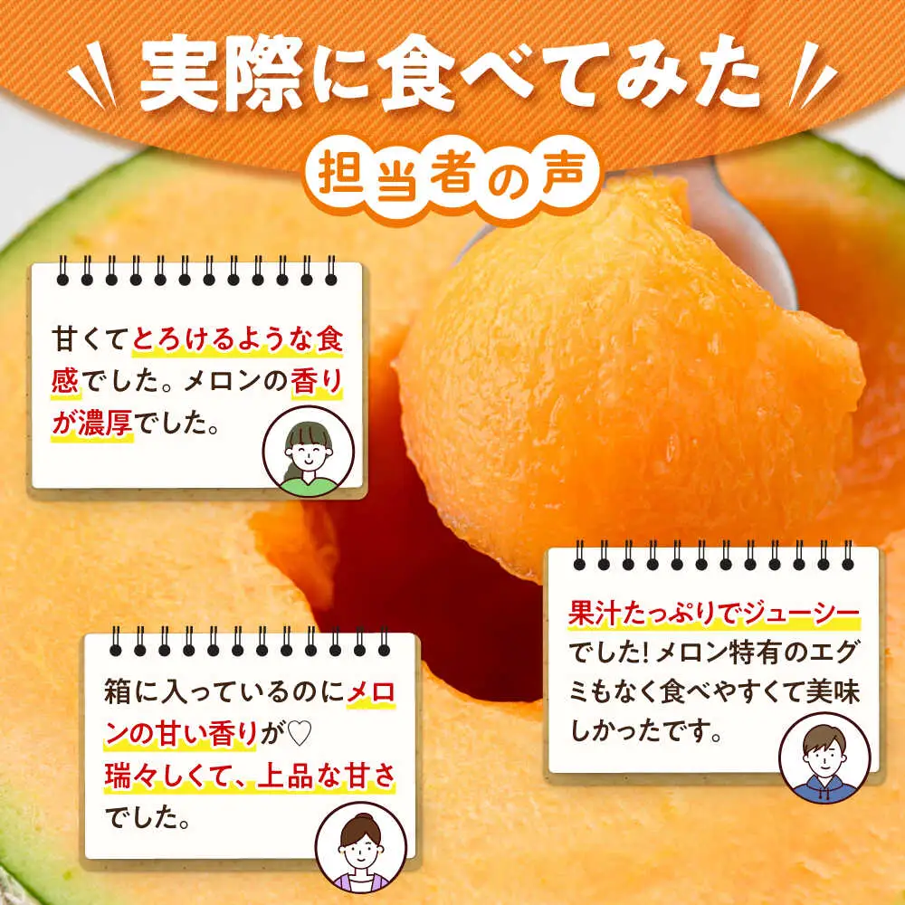 キングルビー 4-5玉  [AJAM005] メロン 産地直送