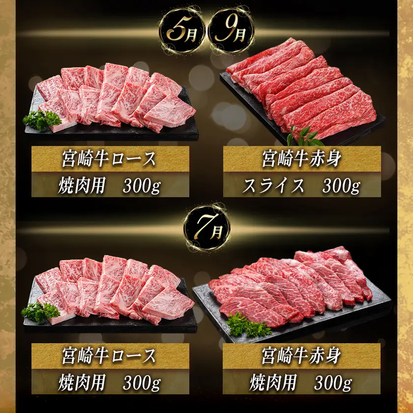 宮崎牛定期便(10ヶ月)〔T120（10）-0103〕_(都城市) 宮崎牛 A5 10ヶ月定期便 赤身 バラ ロース スライス 焼肉用 切り落とし サーロインステーキ