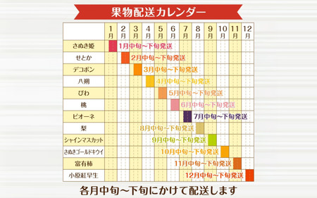 月の旬果定期便♪(12ヶ月連続)