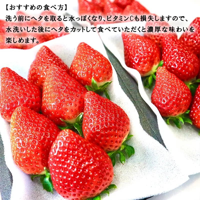 特選濃厚苺30粒 品種：いちごさん or さちのか 佐賀県唐津産 (贈答用・ギフト用・熨斗対応可・化粧箱)