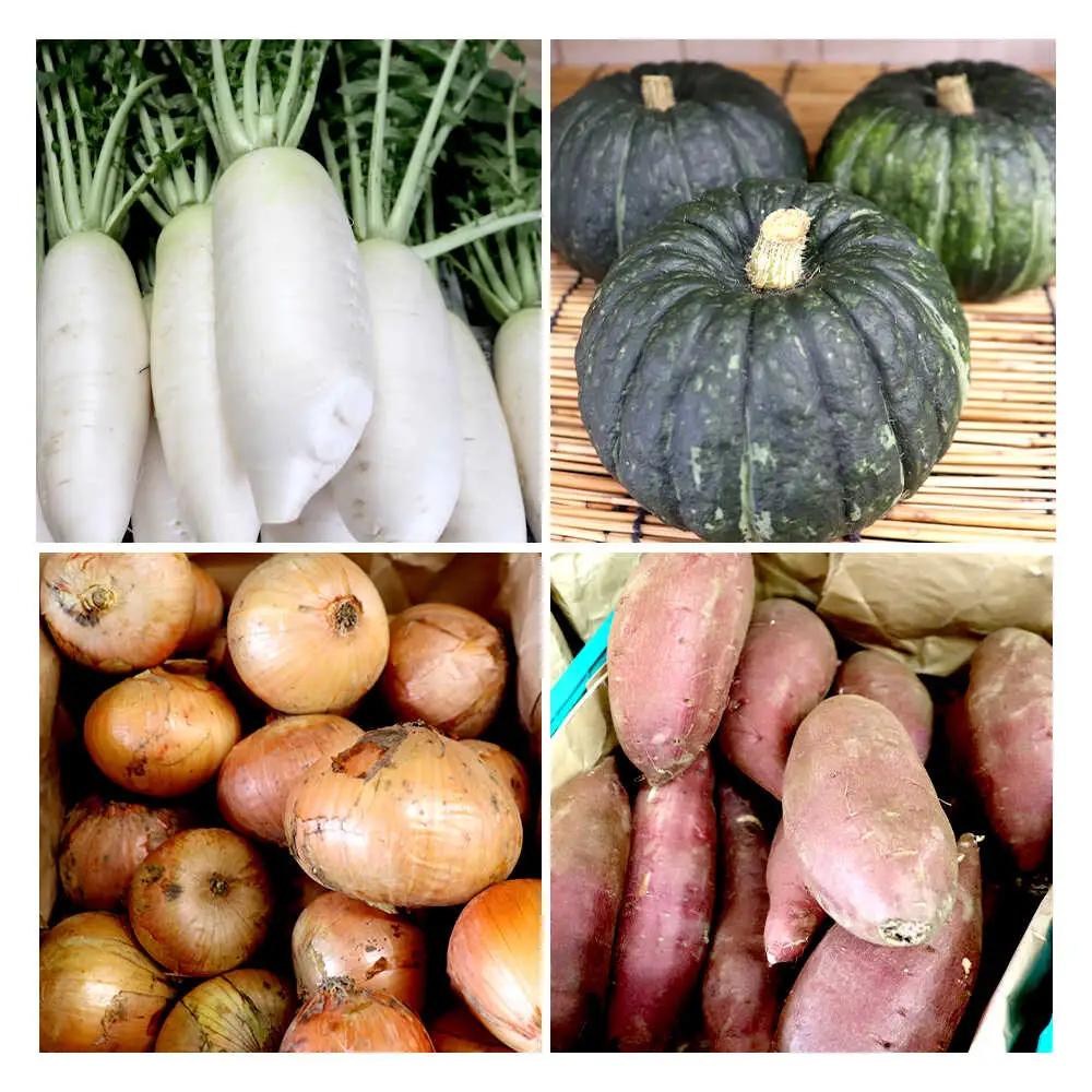 鯖街道からお届けする季節の新鮮野菜セット 8種以上[A-023004] [BFAN006]