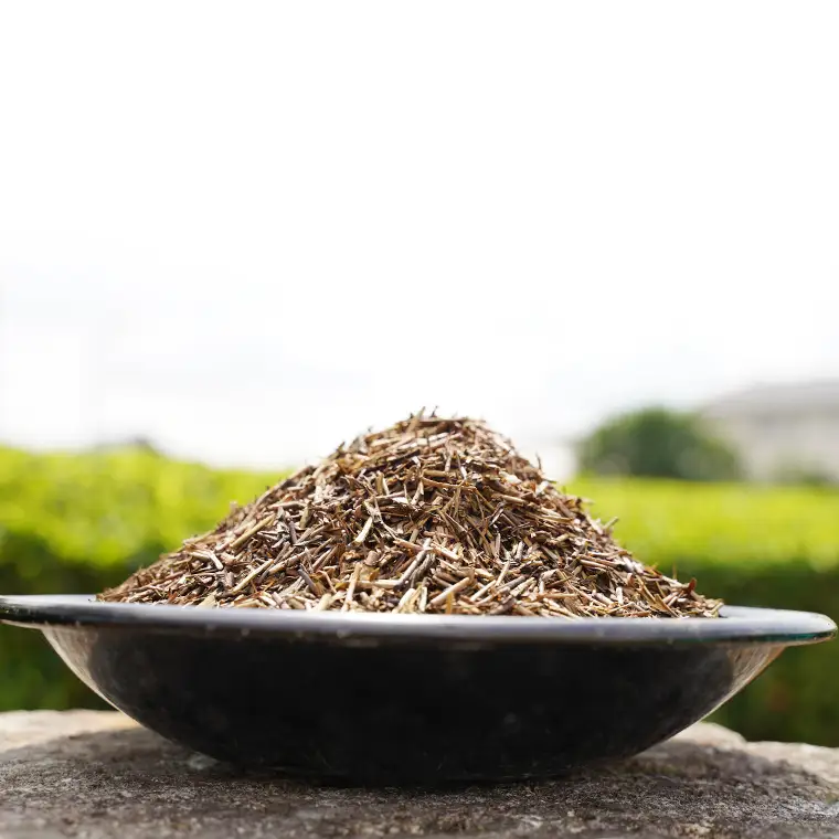 くきほうじ茶 （100g×10袋）【茨城県共通返礼品／八千代町】 お茶 ほうじ茶 松田製茶 [DV009sa]