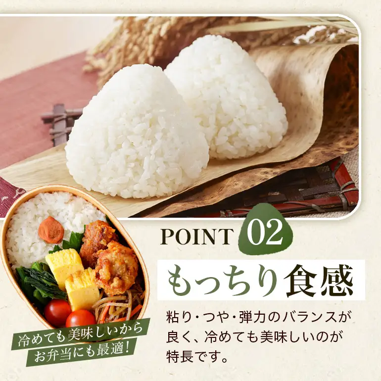 ひのひかり 米 お米 白米 20kg 令和8年産 新米 【JA福岡くるめ にじの耳納の里】 A01-011-PD03-20