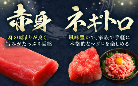 【全12回定期便】対馬産 本マグロ 4種 計550g（赤身/中トロ/大トロ/ネギトロ） [WAH017] マグロ まぐろ 本マグロ トロ 赤身 ネギトロ