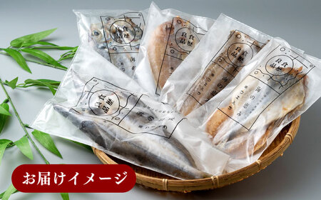 【全6回定期便】対馬 一汐干し お魚 セット 5種20枚 詰め合わせ アジ 穴子 カマス 連子鯛 干物 [WAI070]