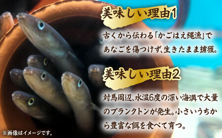 【全12回定期便】骨まで食べる 白焼き あなご (5袋)穴子 白焼 海鮮 国産 魚介[WAI077]