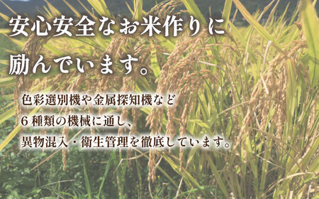 【令和7年産】 山口県産 米 しきゆたか 10kg (5kg×2袋) 無洗米 農家直送 (精米まで一貫加工)  《内日三町：DZ》