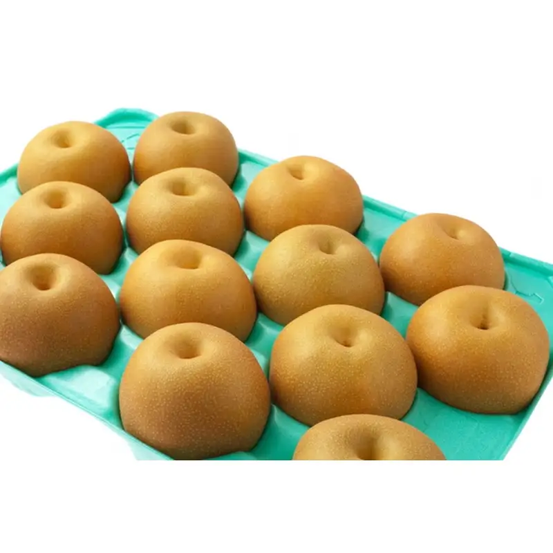 【先行予約】甘～ぃ！ジューシー！！晩生梨の代表 京丹後産 新興梨 3kg（4～9玉）（2026年9月下旬～発送）