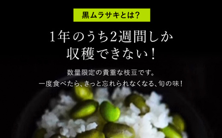 ＜先行予約！2026年10月中旬以降順次発送予定＞丹波黒大豆の枝豆「黒ムラサキ」(1kg) 京野菜 枝豆 夜久野清雫