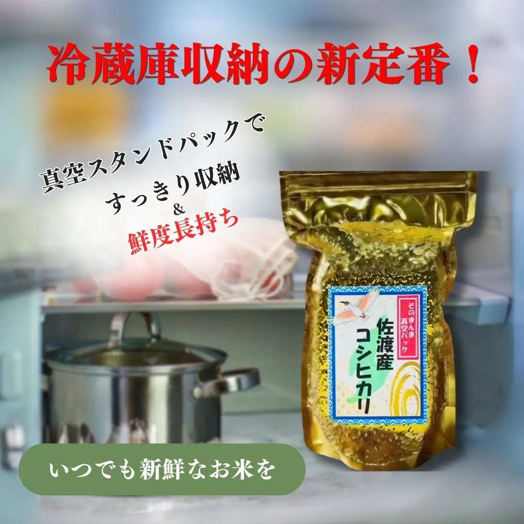 【先行予約 令和8年】コシヒカリ 真空パック 900g×6袋セット | 新潟県 佐渡市 コシヒカリ