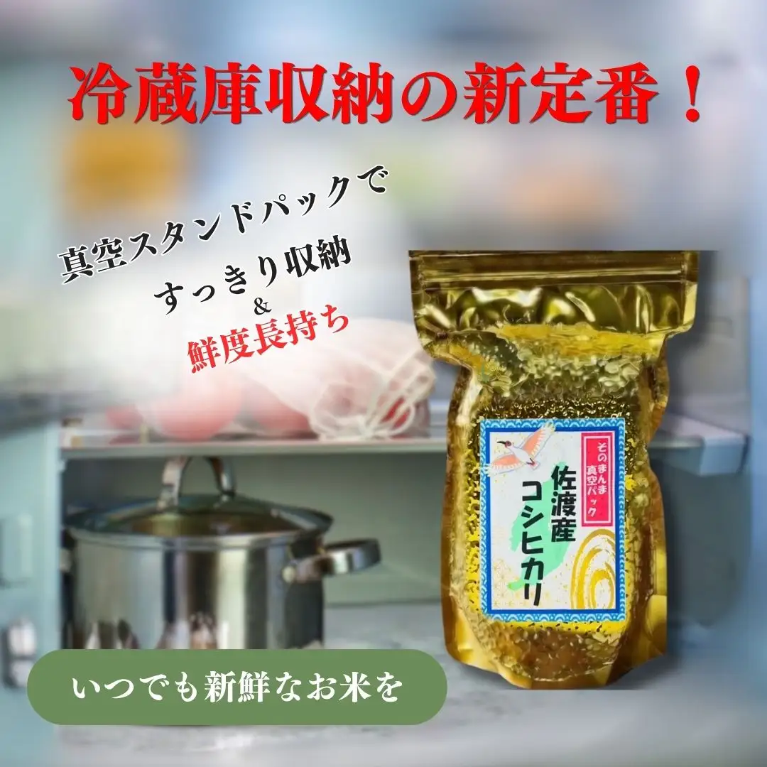 【令和7年度産米】佐渡産コシヒカリ そのまんま真空パック 900g×12袋セット