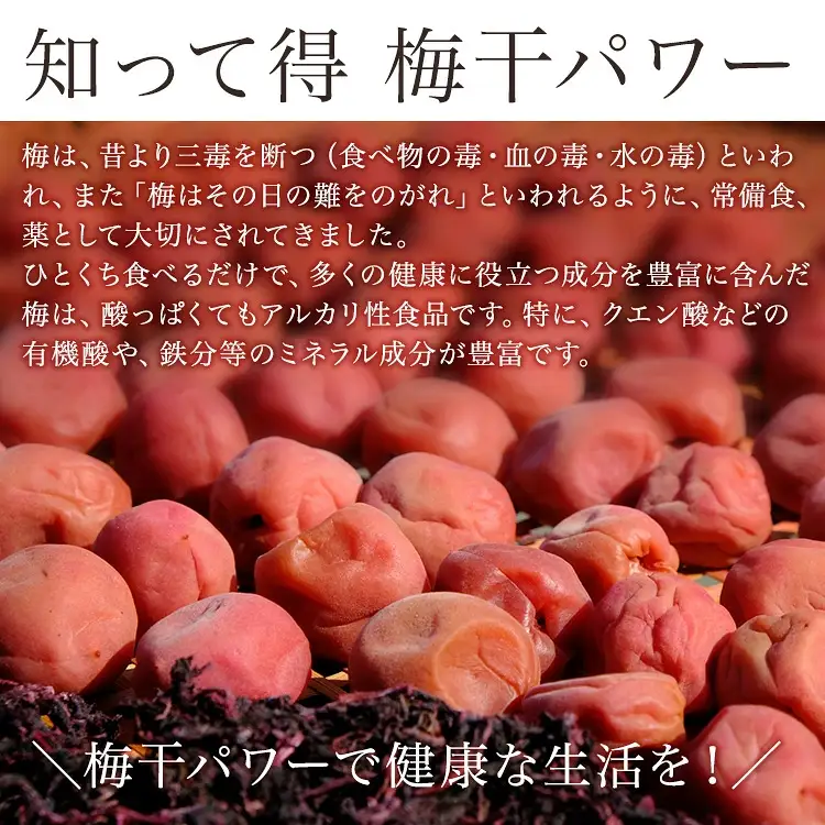 しそかつお梅干しつぶれ梅（はちみつ入り）［ご家庭用］ 約１ｋｇ《紀州南高梅》【入金確認後準備ができ次第順次発送】【AA90006-ard108】