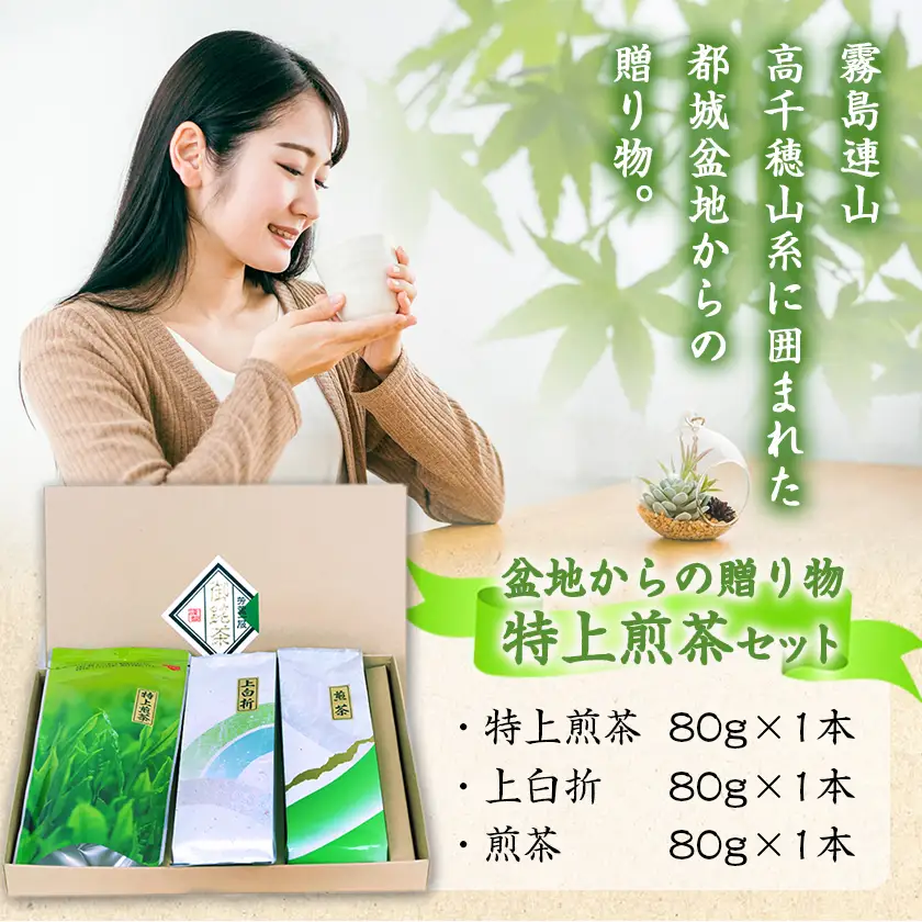 盆地からの贈り物 特上煎茶セット≪みやこんじょ特急便≫〔AA-48-001-Q〕_(都城市) 茶葉 特上煎茶 上白折 煎茶 各80グラム お茶の産地 最高級品 一番茶 Green Tea 水出し ギフト 家庭用 日本茶