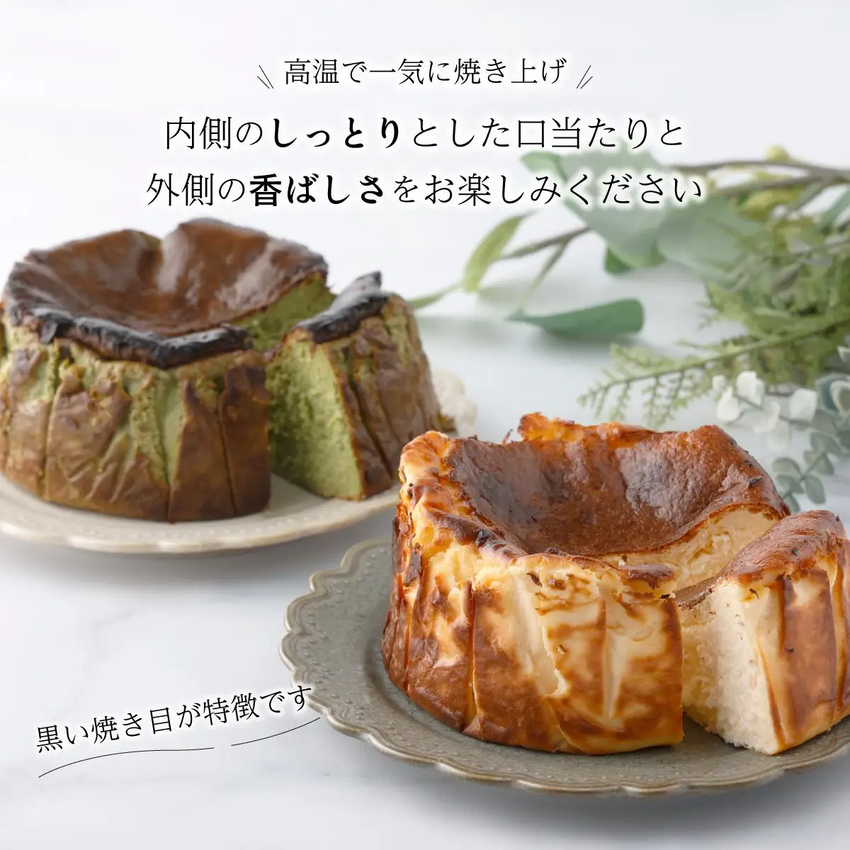 濃厚バスクチーズケーキ 抹茶×2    [C-694-SP_002]