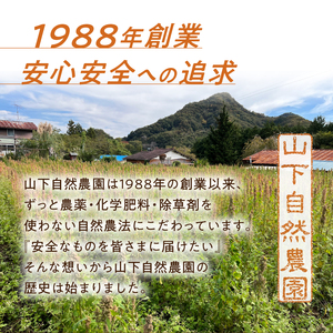 上野原産キヌア　スーパー雑穀　100g入り×4袋セット