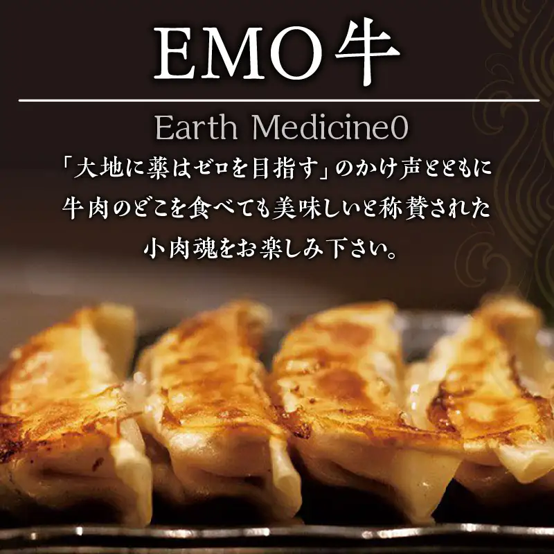 牧場育ち 牛肉100％旨み餃子（餃子12個パック×5） 餃子 ぎょうざ 惣菜 牛肉