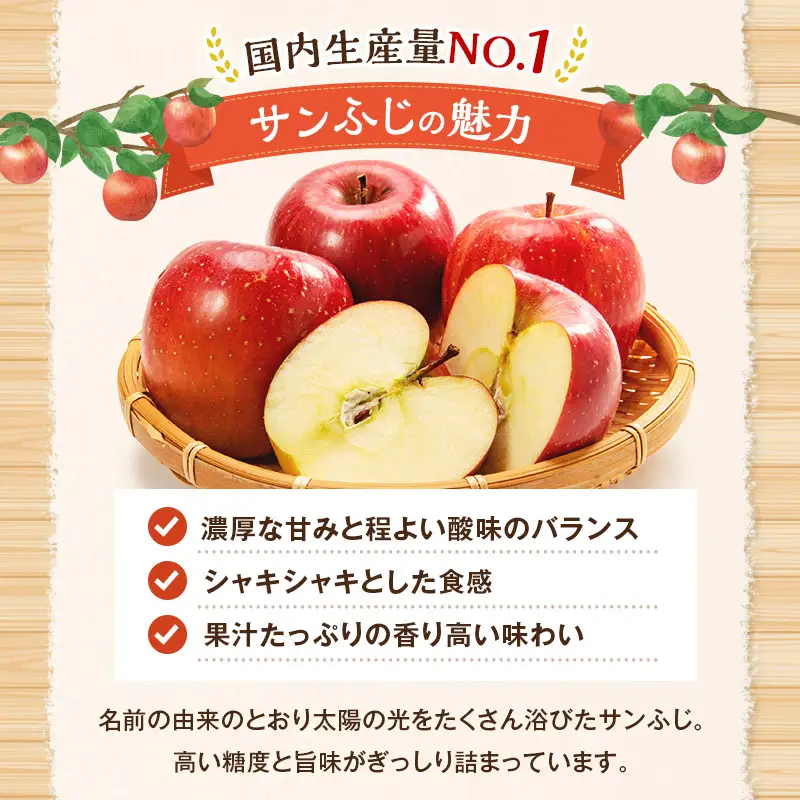りんご サンふじ 約10kg 24～40玉入 リンゴ