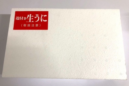 (1369)殻付きウニ 特大8個 生うに 雲丹 長門市 ムラサキウニ 
