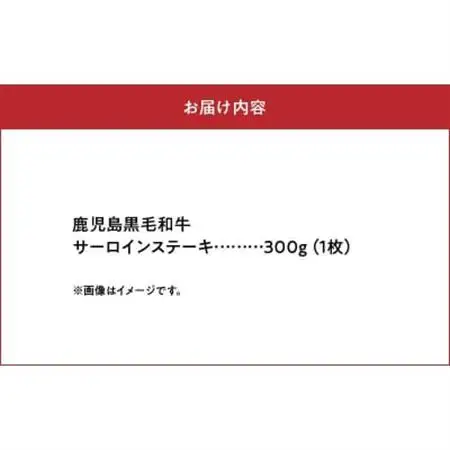 鹿児島黒毛和牛サーロインステーキ300g【配送不可地域：離島】【1186116】