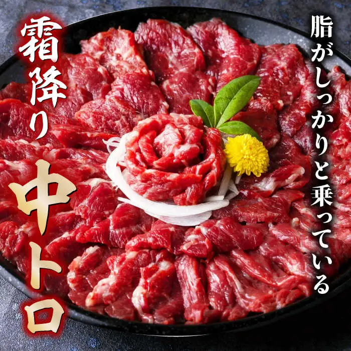 赤身&霜降り馬刺し2種計約1kg 馬刺しZBK008