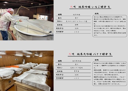 CN023_みやき町の地酒「天吹」バナナ酵母といちご酵母