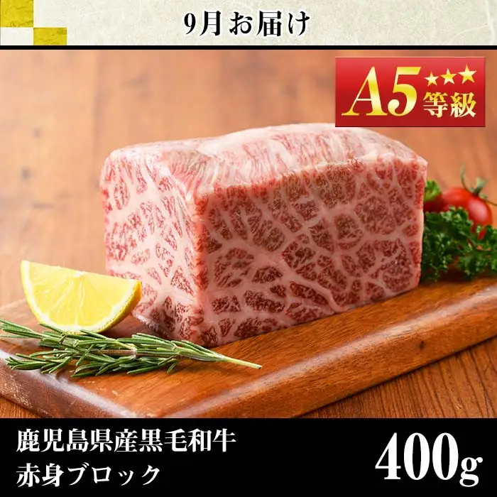No.1013 ＜定期便・全4回＞鹿児島県産黒毛和牛赤身定期便(合計1.7kg)牛肉 黒毛和牛 和牛 ステーキ スライス 焼肉 BBQ キャンプ 定期便 頒布会 A5 冷凍 ギフト【LRプラスK】