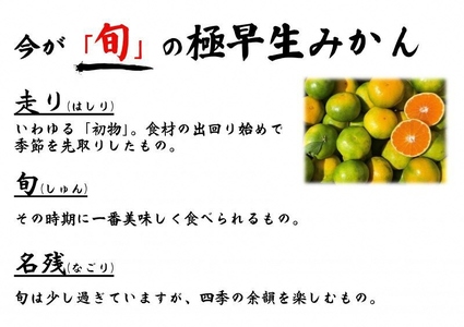 湯の花　極早生温州みかん10kg箱　【 極早生 】