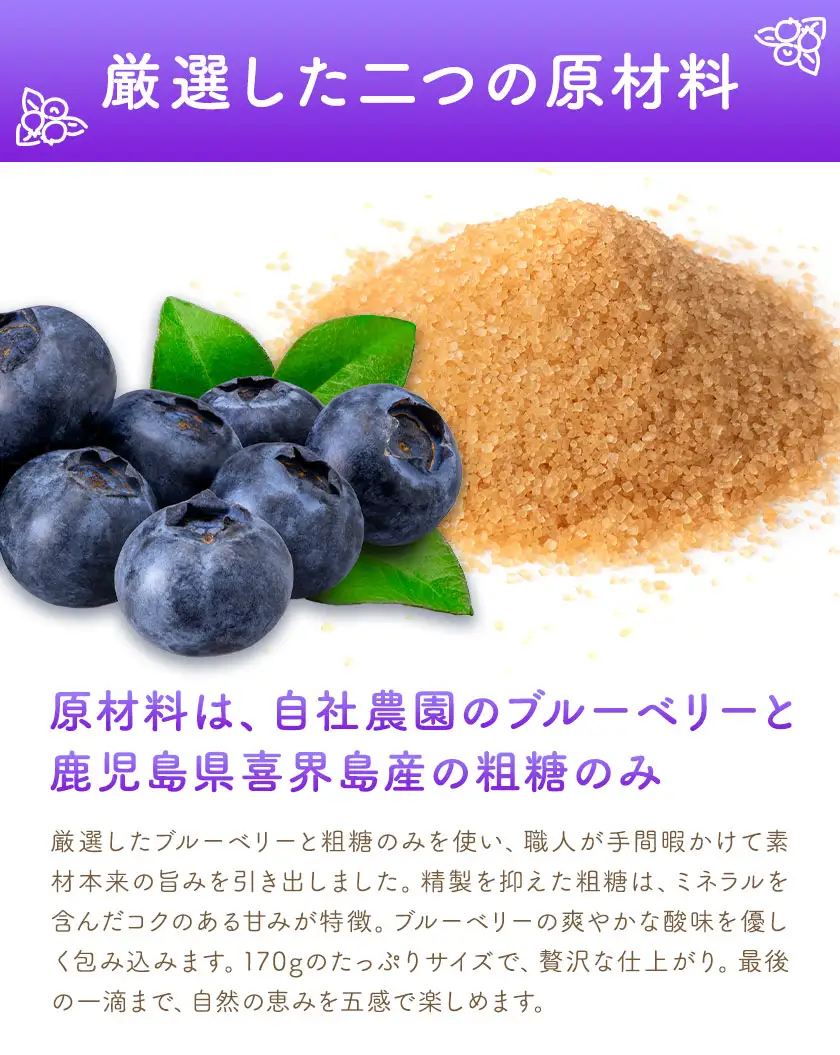 ブルーベリー ソース 170g 6本 田野農園《30日以内に出荷予定(土日祝除く)》鹿児島県 さつま町
