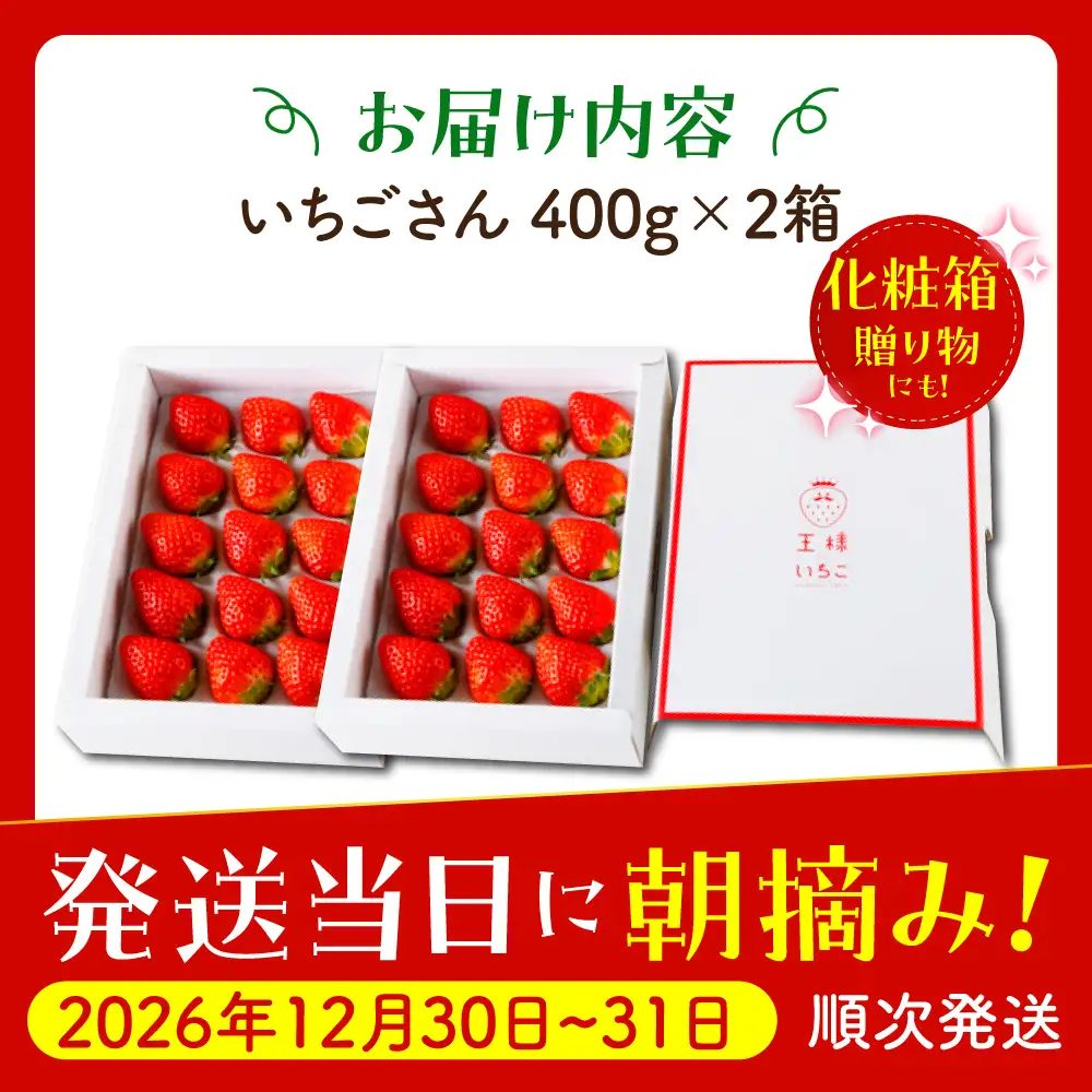 【先行予約】【農薬0への挑戦】【年末発送】いちごさん王様のいちご400g×2箱【むらおか農園】HAF028 果物 フルーツ